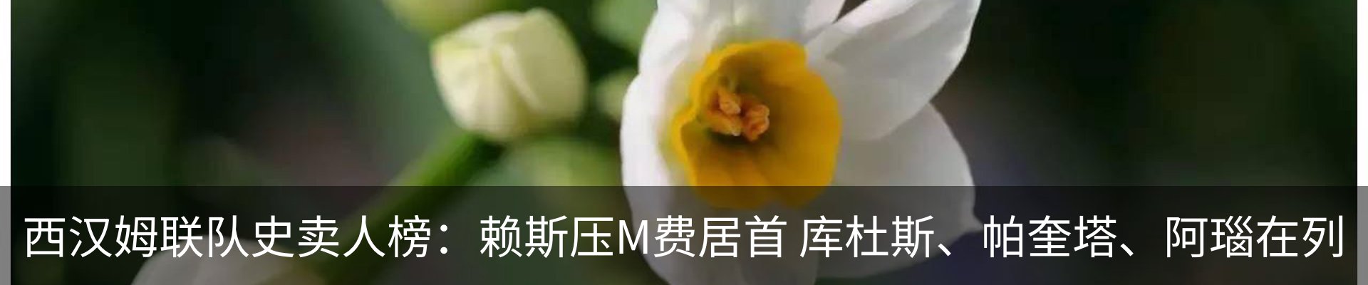 资讯动态